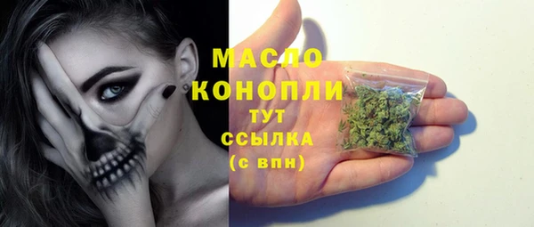 дмт Осташков