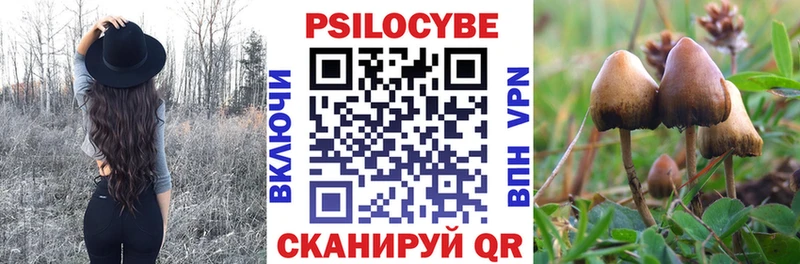 Псилоцибиновые грибы MAGIC MUSHROOMS  Байкальск 